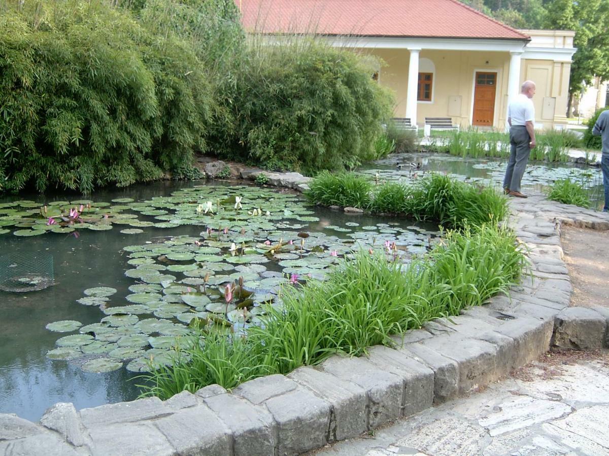 Dobre Ubytovanie Piest'any Exterior photo